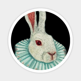 "Rabbit in the ruff" Magnet